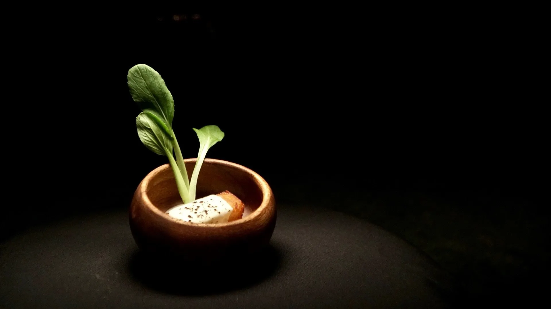 Small wooden bowl with a gourmet dish garnished with fresh green leaves under spotlighy