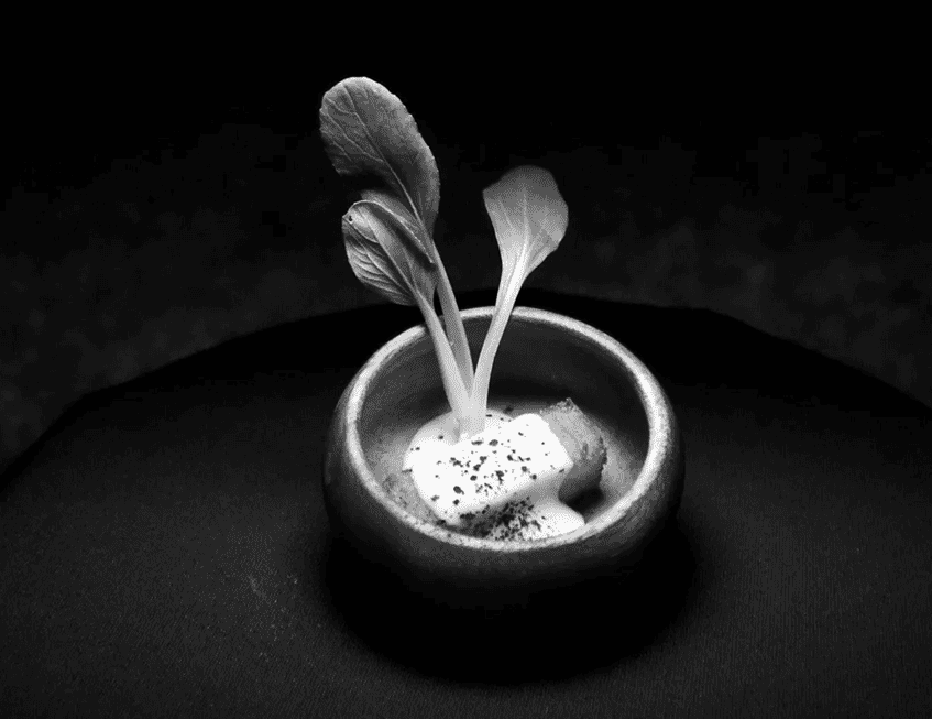 The SSC Experience 1