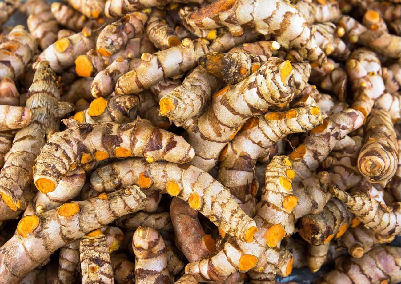 Turmeric Image