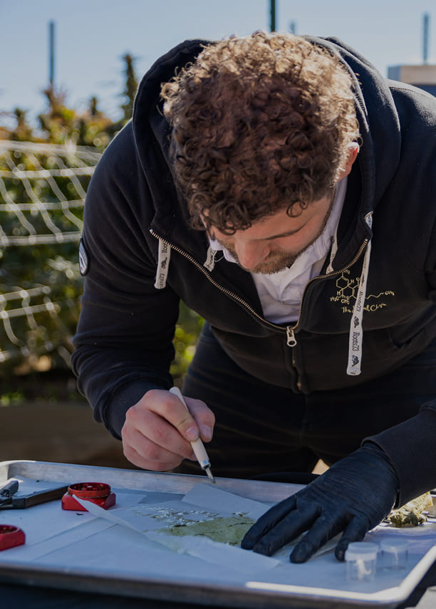 cannabies consulting img