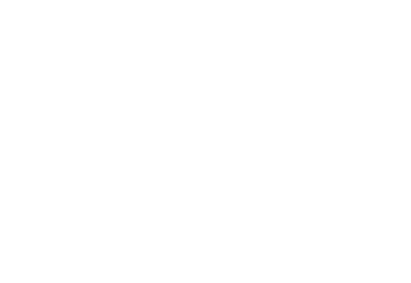 the washington post logo