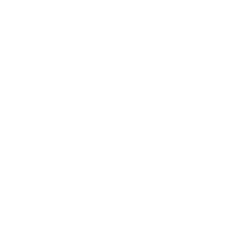 ZY logo