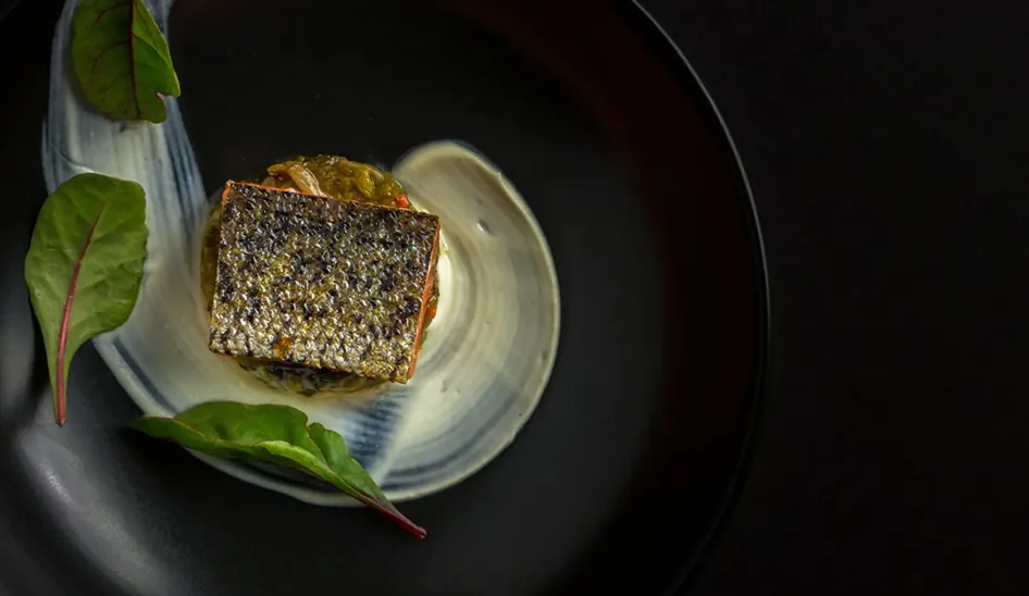Plated gourmet fish dish with sauce and leafy greens on a dark background.